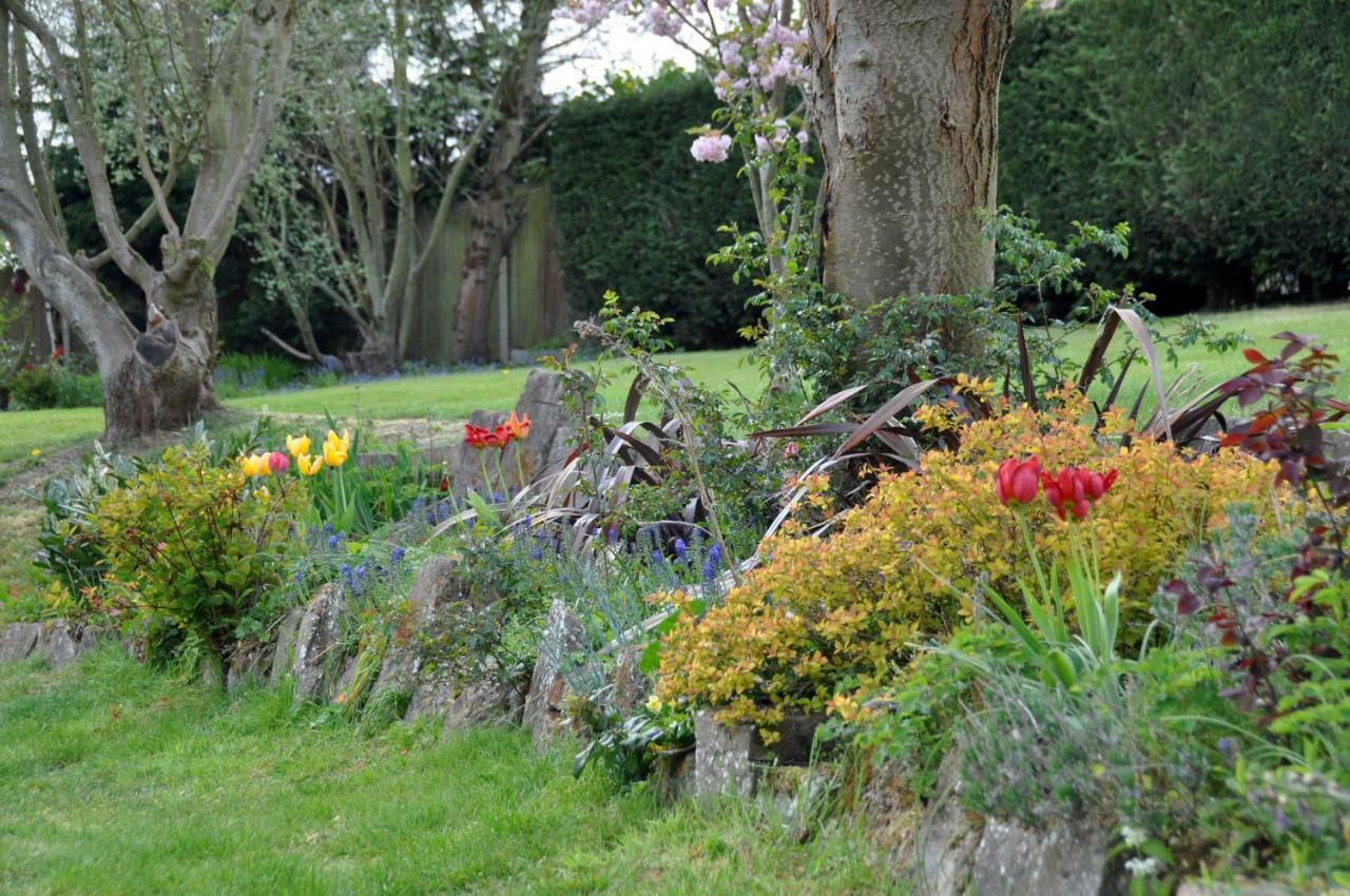 Bridleways Guesthouse & Holiday Homes 맨스필드 외부 사진